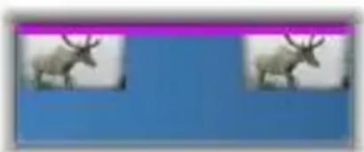 PINNACLE Studio 17 Ultimate - Effets sur le plan de montage - 1