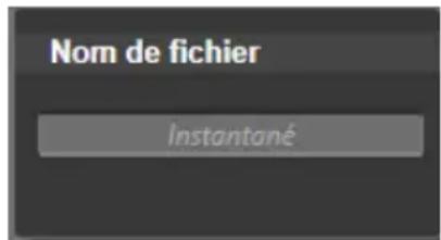 PINNACLE Studio 17 Ultimate - Le panneau du nom de fichier - 1