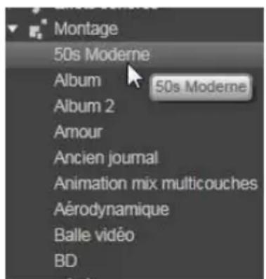 PINNACLE Studio 17 Ultimate - Montage - 1