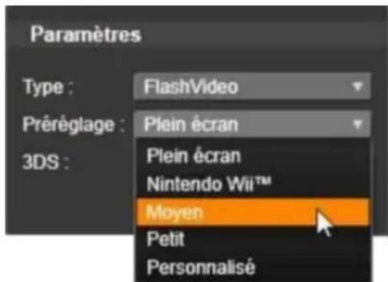 PINNACLE Studio 17 Ultimate - Flash Video - 1
