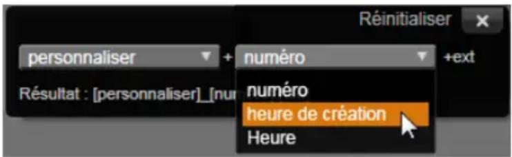 PINNACLE Studio 17 Ultimate - Le panneau du nom de fichier - 4