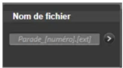 PINNACLE Studio 17 Ultimate - Le panneau du nom de fichier - 3