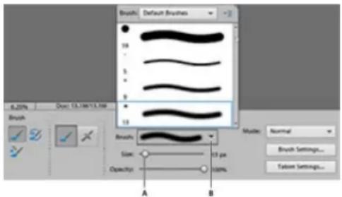 ADOBE Photoshop Elements 15 - A propos des outils de peinture - 1