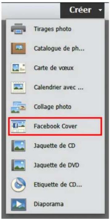 ADOBE Photoshop Elements 15 - Creation d'une photo de couverture et de profil Facebook - 1
