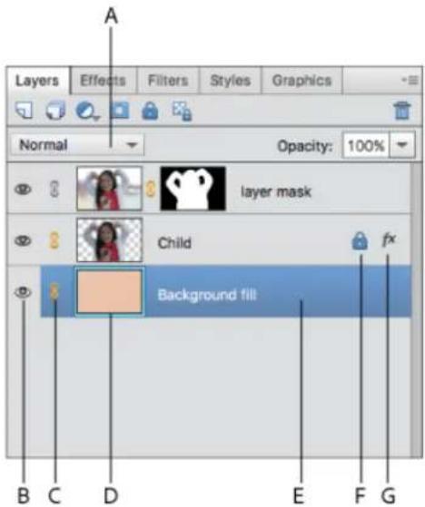 ADOBE Photoshop Elements 15 - A propos du panneau Calques - 1
