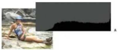 ADOBE Photoshop Elements 15 - A propos des historiammes - 2