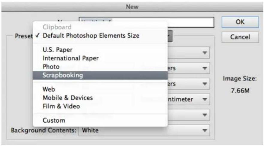 ADOBE Photoshop Elements 15 - Paramètre prédéfini de Scrapbooking - 1