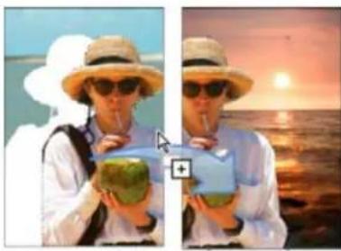 ADOBE Photoshop Elements 15 - Déplacement d'une sélection - 1