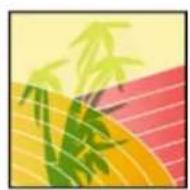 ADOBE Photoshop Elements 15 - A propos des options d'opacité et de fusion des calques - 1