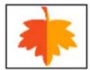 ADOBE Photoshop Elements 15 - Application d'une rotation ou d'une symétrie à un élément - 7