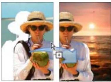 ADOBE Photoshop Elements 15 - Déplacement d'une sélection - 1