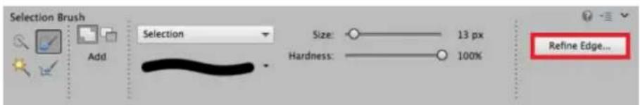 ADOBE Photoshop Elements 15 - Améliorer le contour - 1