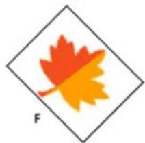 ADOBE Photoshop Elements 15 - Application d'une rotation ou d'une symétrie à un élément - 6