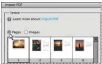 ADOBE Photoshop Elements 15 - Ouverture d'un fichier PDF - 1