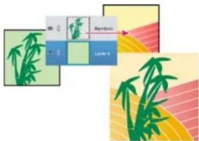 ADOBE Photoshop Elements 15 - Copied'un calque entre deux images - 1