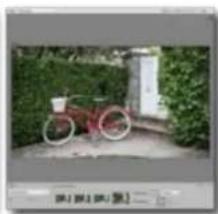 ADOBE Photoshop Elements 15 - Propositions de recadrage automatique - 4