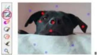 ADOBE Photoshop Elements 15 - Utilisation de la fonction Extraction magique - 2