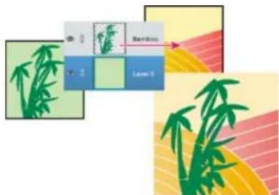 ADOBE Photoshop Elements 15 - Copied'un calque entre deux images - 1