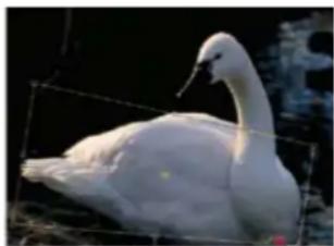 ADOBE Photoshop Elements 15 - Modification guide Hors limits - 2