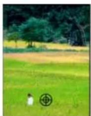 ADOBE Photoshop Elements 15 - Correction des imperfections importantes - 1
