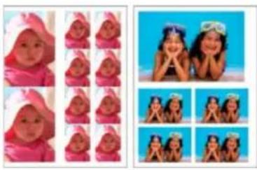 ADOBE Photoshop Elements 15 - Impression d'une collection d/images - 1