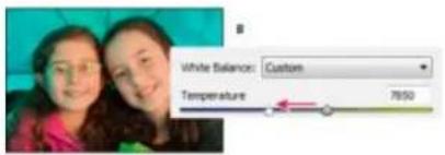 ADOBE Photoshop Elements 15 - Commandes de la balance des blancs pour les fichiers Camera Raw - 2