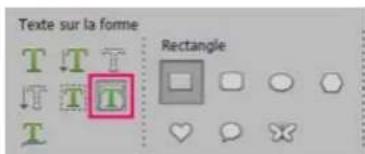 ADOBE Photoshop Elements 15 - Utilisation l'outil Texte sur la forme - 1