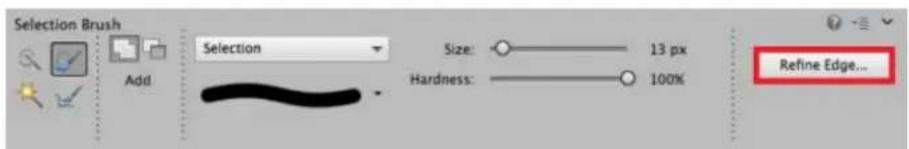 ADOBE Photoshop Elements 15 - Améliorer le contour - 1