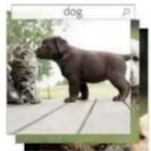 ADOBE Photoshop Elements 15 - Retrouver vos photos plus rapidement! - 3