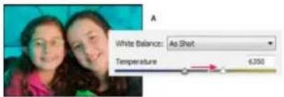 ADOBE Photoshop Elements 15 - Commandes de la balance des blancs pour les fichiers Camera Raw - 1