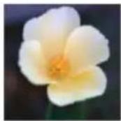 ADOBE Photoshop Elements 15 - Mémorisation, récapération ou suppression d'une seLECTION - 1