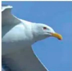 ADOBE Photoshop Elements 15 - A propos du format JPEG - 2