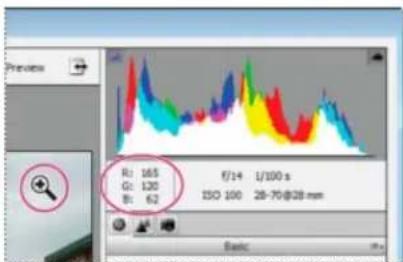 ADOBE Photoshop Elements 15 - Utilisation de l'histogramme et des valeurs RVB dans les fichiers Camera Raw - 1