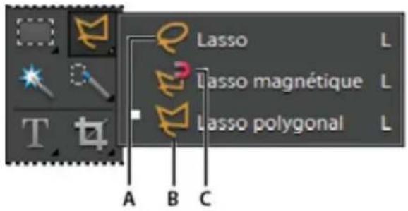 ADOBE Photoshop Elements 15 - Utilisation de l'outil Lasso polygonal - 1
