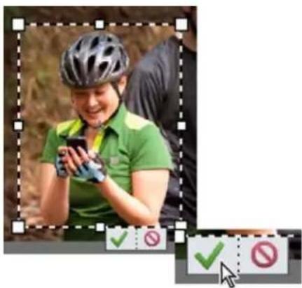 ADOBE Photoshop Elements 15 - Recadrage d'une image - 4