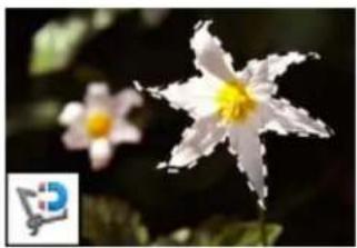 ADOBE Photoshop Elements 15 - A propos des outils de selection - 5
