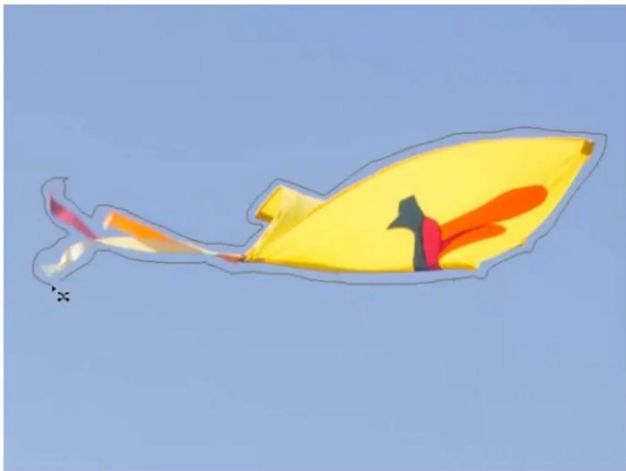 ADOBE Photoshop Elements 15 - Déplacement et réorganisation d'objets - 4