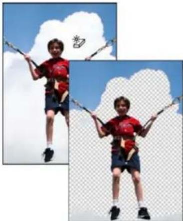 ADOBE Photoshop Elements 15 - Utilisation de l'outil Gomme magique - 1