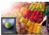 ADOBE Photoshop Elements 15 - A propos des filtres - 1