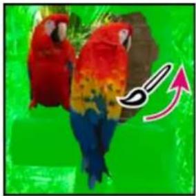 ADOBE Photoshop Elements 15 - Utilisation de l'outil Forme de seLECTION - 3