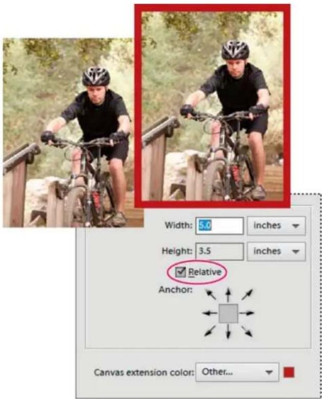 ADOBE Photoshop Elements 15 - Redimensionnement de la zone de travail - 1