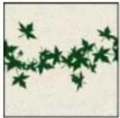 ADOBE Photoshop Elements 15 - A propos des options de forme - 4