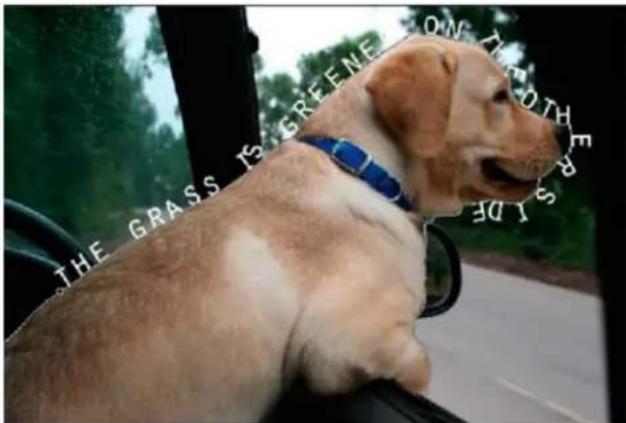 ADOBE Photoshop Elements 15 - Texte sur la seLECTION - 3