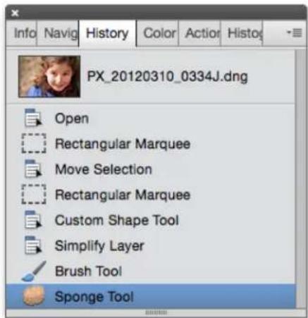 ADOBE Photoshop Elements 15 - Utilisation du panneau Historique lors de la modification - 1