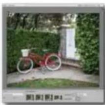 ADOBE Photoshop Elements 15 - Propositions de recadrage automatique - 3