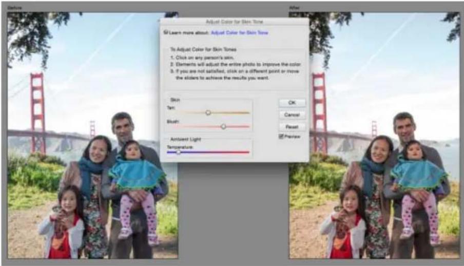 ADOBE Photoshop Elements 15 - Réglage de la coloration de la peau - 1