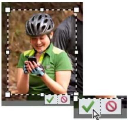ADOBE Photoshop Elements 15 - Recadrage d'une image - 4