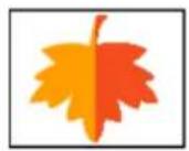 ADOBE Photoshop Elements 15 - Application d'une rotation ou d'une symétrie à un élément - 4