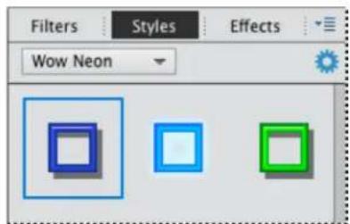 ADOBE Photoshop Elements 15 - Application d'un style de calque - 2