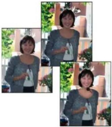 ADOBE Photoshop Elements 15 - Eclaircissement ou obscurcissement rapide de zones isolées - 1